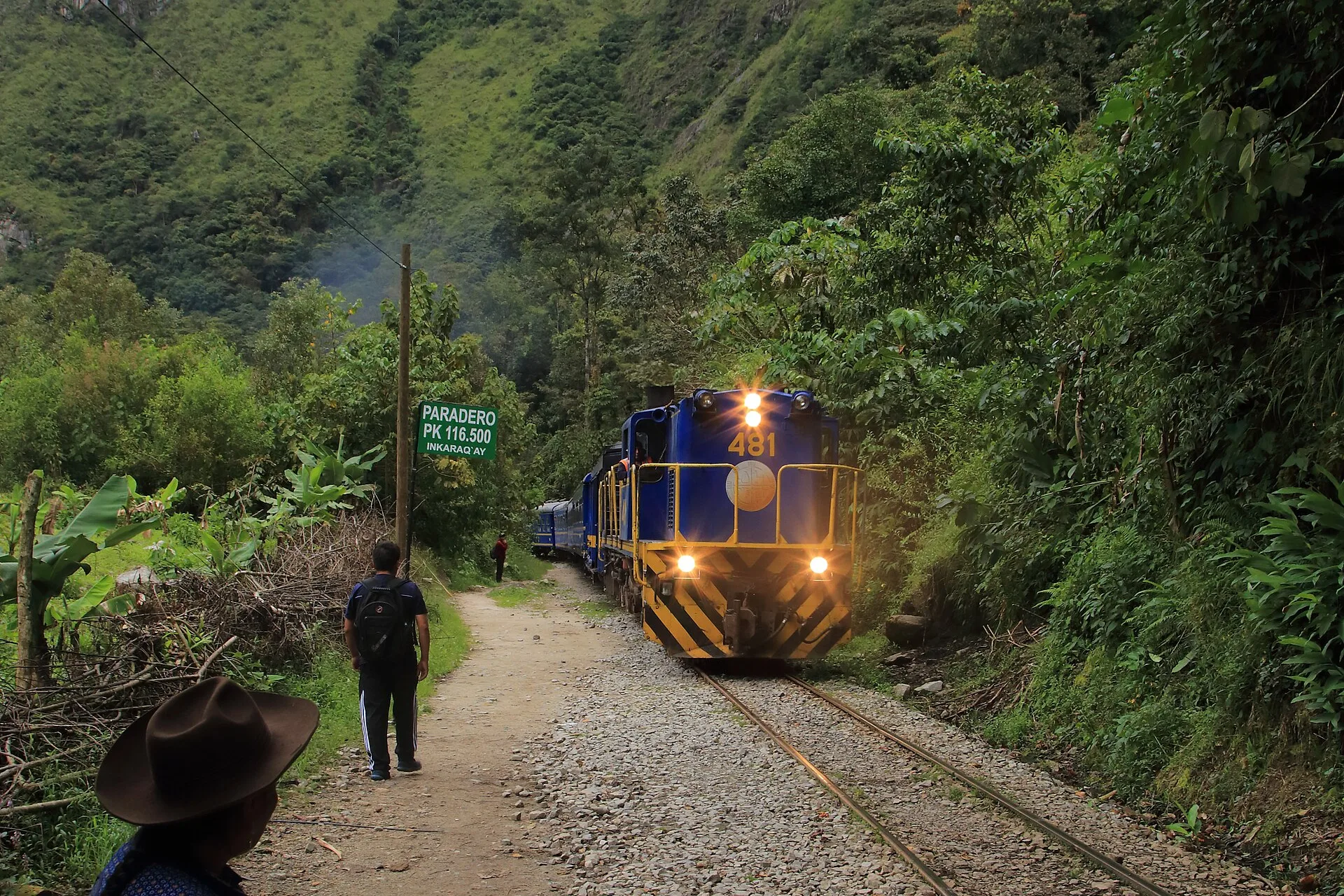 A blue and yellow PeruRail train approaching through a steep green valley